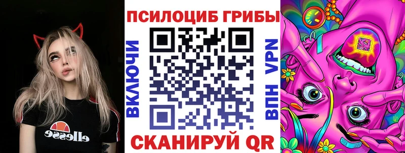 Псилоцибиновые грибы Psilocybine cubensis  Хилок 
